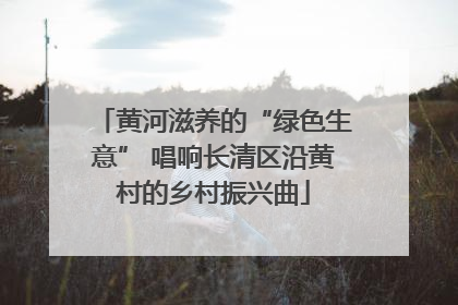 黄河滋养的“绿色生意” 唱响长清区沿黄村的乡村振兴曲