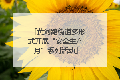 黄河路街道多形式开展“安全生产月”系列活动