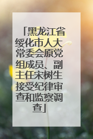 黑龙江省绥化市人大常委会原党组成员、副主任宋树生接受纪律审查和监察调查