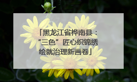 黑龙江省桦南县：“三色”匠心织锦绣 绘就治理新画卷