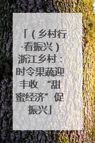 （乡村行·看振兴）浙江乡村：时令果蔬迎丰收 “甜蜜经济”促振兴