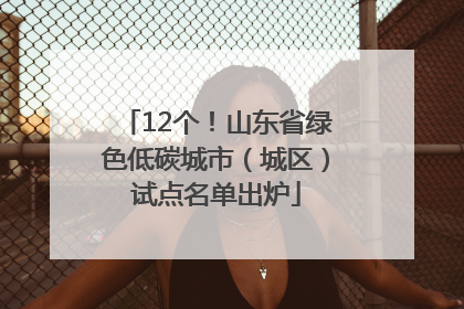 12个！山东省绿色低碳城市（城区）试点名单出炉
