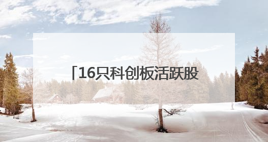 16只科创板活跃股获主力资金净流入