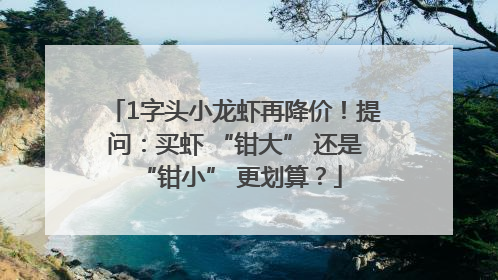1字头小龙虾再降价！提问：买虾 “钳大” 还是 “钳小” 更划算？