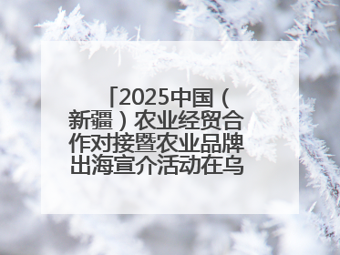 2025中国（新疆）农业经贸合作对接暨农业品牌出海宣介活动在乌鲁木齐举行