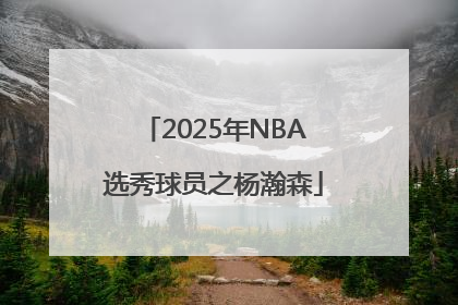 2025年NBA选秀球员之杨瀚森