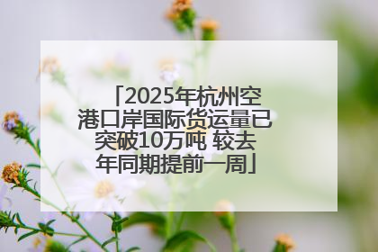 2025年杭州空港口岸国际货运量已突破10万吨 较去年同期提前一周