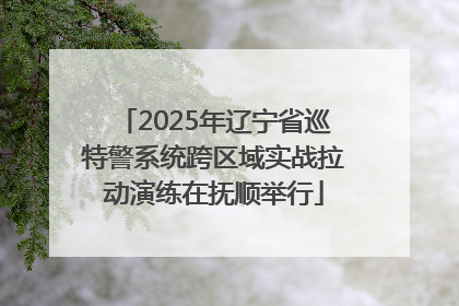 2025年辽宁省巡特警系统跨区域实战拉动演练在抚顺举行