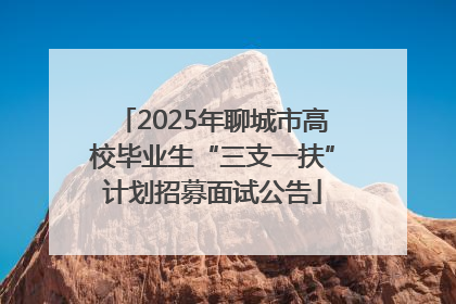 2025年聊城市高校毕业生“三支一扶”计划招募面试公告