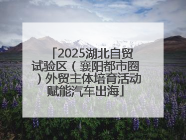 2025湖北自贸试验区（襄阳都市圈）外贸主体培育活动赋能汽车出海