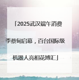 2025武汉端午消费季蔡甸启幕，百台国际级机器人亮相花博汇