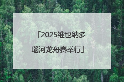 2025维也纳多瑙河龙舟赛举行