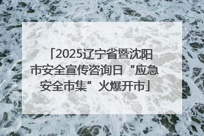 2025辽宁省暨沈阳市安全宣传咨询日“应急安全市集”火爆开市