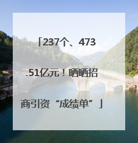 237个、473.51亿元！晒晒招商引资“成绩单”