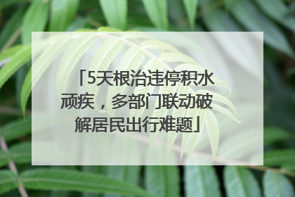 5天根治违停积水顽疾，多部门联动破解居民出行难题