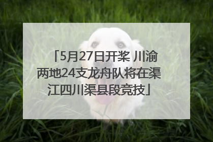 5月27日开桨 川渝两地24支龙舟队将在渠江四川渠县段竞技