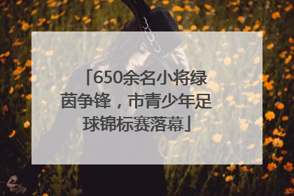 650余名小将绿茵争锋，市青少年足球锦标赛落幕